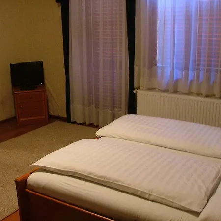 בית הארחה Erdogyongye Etterem Es Panzio *